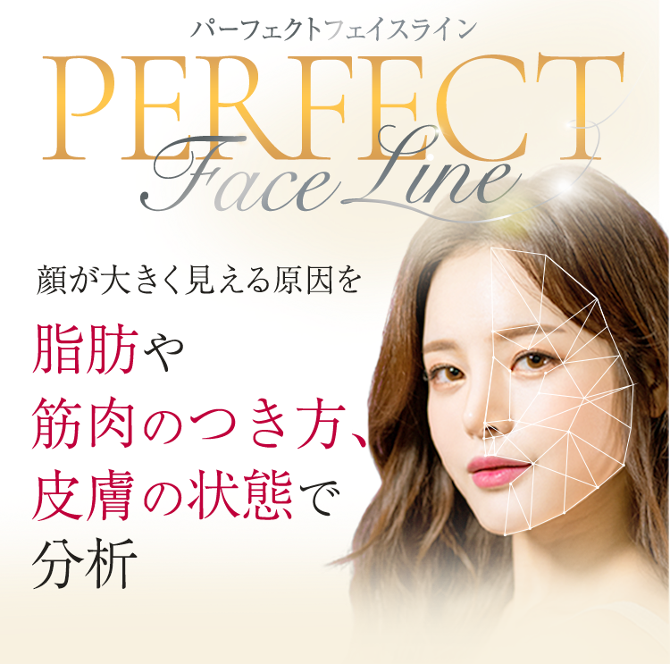 パーフェクトフェイスライン 最も変化を感じた施術 施術満足度 No.1 ※TAクリニック患者様アンケート 顔が大きく見える原因を脂肪や筋肉のつき方、皮膚の状態で分析