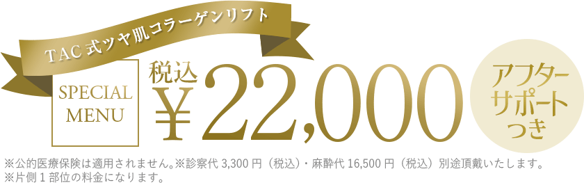 リフトアップ・目のくま・ほうれい線・手の血管治療