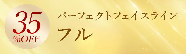 35%OFF パーフェクトフェイスライン フル