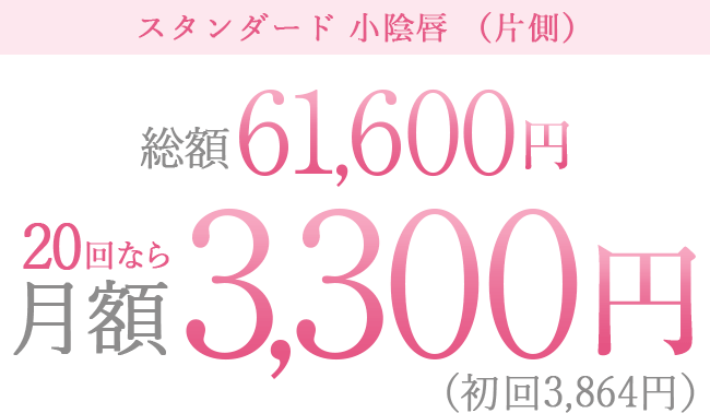 抜糸ナシの日帰り施術