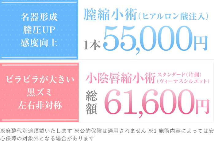 ビラビラが大きい、黒ズミ、左右非対称の悩みに小陰唇縮小術（ヴィーナスシルエット）（片側）｜膣のゆるみ、尿漏れ、感度の向上にはヴィーナスハイフ（膣圧アップ）