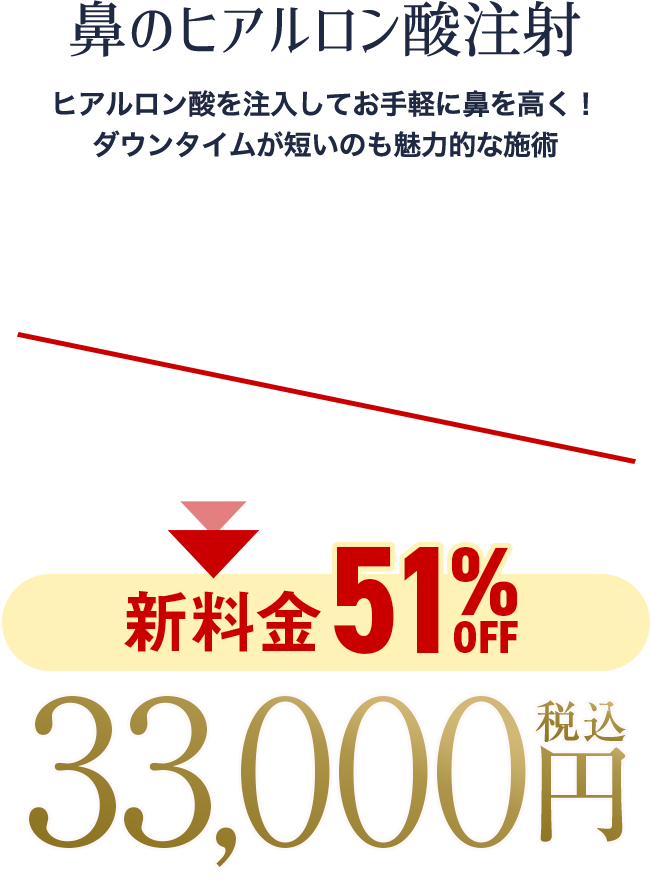 鼻のヒアルロン酸注射の料金
