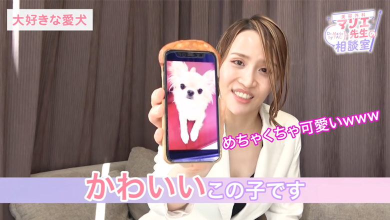 大好きな愛犬きたろうくん